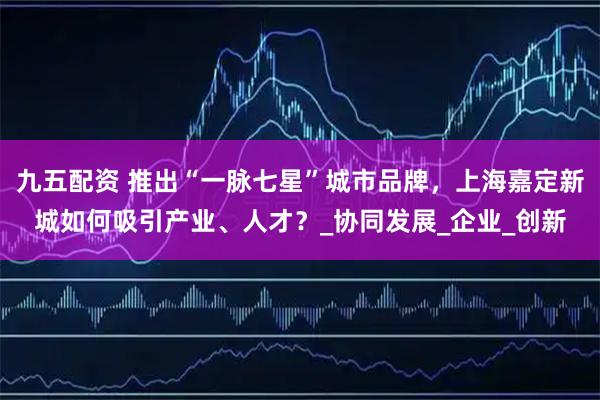 九五配资 推出“一脉七星”城市品牌，上海嘉定新城如何吸引产业、人才？_协同发展_企业_创新